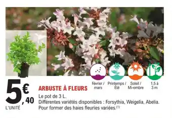 E.Leclerc Jardi Arbuste à fleurs offre