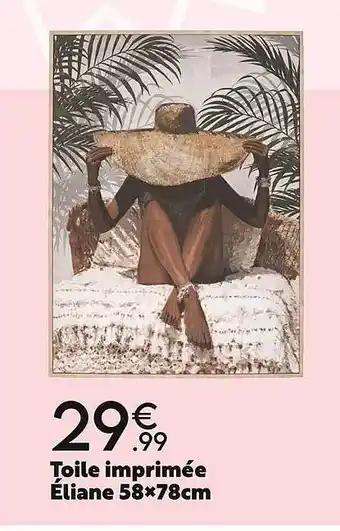 Maxi Bazar Toile imprimée éliane 58x78cm offre