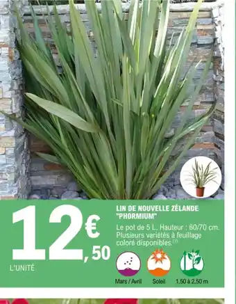 E.Leclerc Lin de Nouvelle Zelande Phormium offre