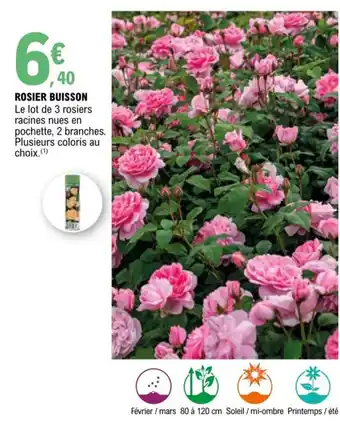 E.Leclerc Rosier Buisson offre