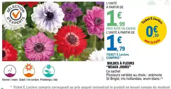 E.Leclerc Bulbes a Fleurs Beaux Jours offre