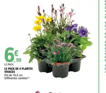 E.Leclerc Le Pack de 4 Plantes Vivaces offre
