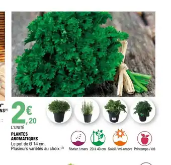 E.Leclerc Plantes Aromatiques offre