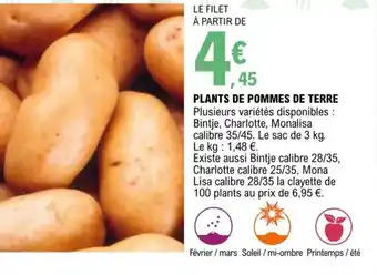 E.Leclerc Plants de Pommes de Terre offre