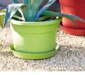 E.Leclerc Pot Gris Anthracite Beaux Jours offre