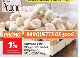 Netto Champignon Blanc offre
