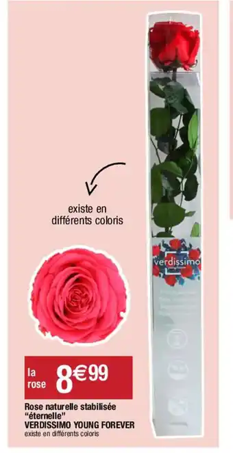 Migros Rose Naturelle stabilisee Eternelle Verdissimo Young Forever offre