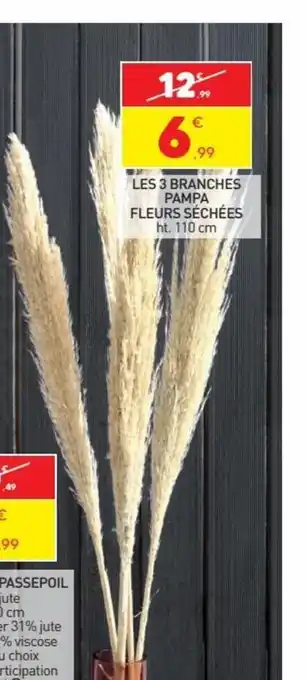 Stokomani Les 3 Branches Pampa Fleurs Séchées offre