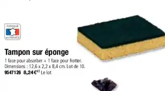 Tampon Sur èponge