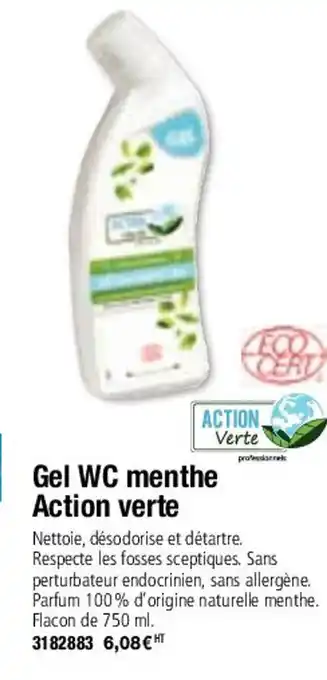 Gel WC Menthe Acrion Verte