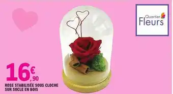 E.Leclerc Rose stabilisée sous cloche sur socle en bois offre