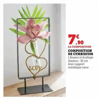 Hyper U Composition de cymbidium offre