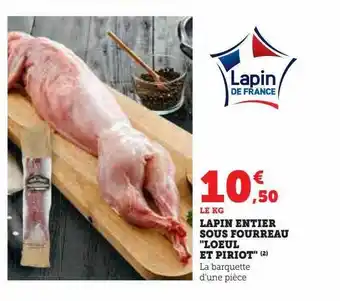U Express Lapin entier sous fourreau offre
