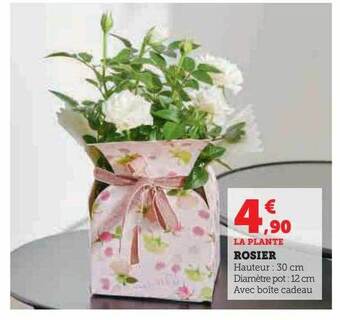 U Express Rosier offre
