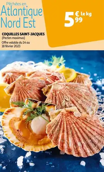 Auchan Coquilles saint-jacques offre