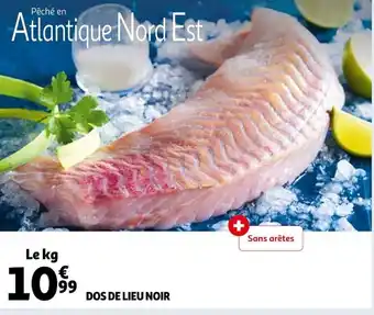 Dos de lieu noir
