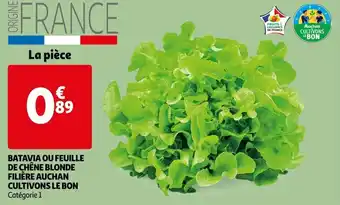 Auchan Batavia ou feuille de chène blonde filière auchan cultivons le bon offre