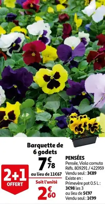Auchan Pensées offre