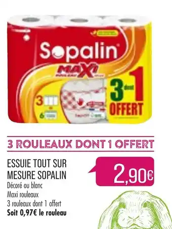 Match Essuie Tout Sur Mesure Sopalin offre
