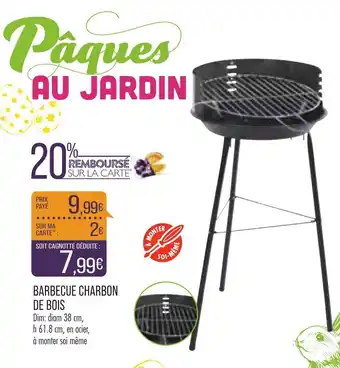 Match Barbecue Charbon de Bois offre