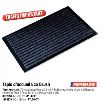 Plein ciel Tapis d'accueil eco brush offre