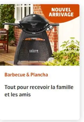 Jardiland Barbecue & Plancha offre