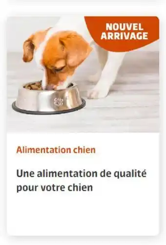 Jardiland Alimentation Chien offre
