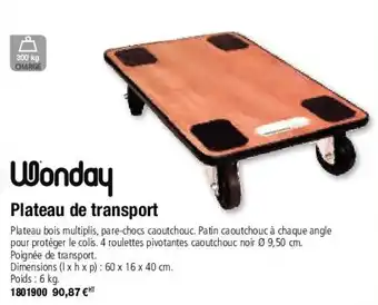 Plein ciel Plateau de transport offre