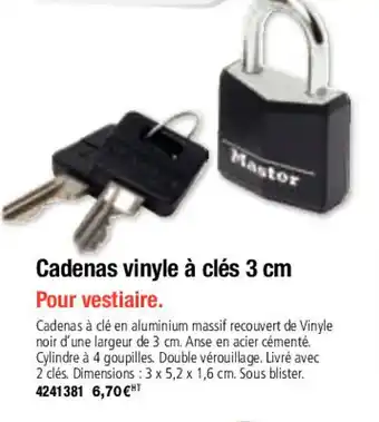 Plein ciel Cadenas vinyle à clés 3 cm offre