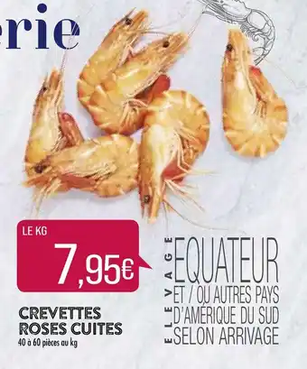 Crevettes Roses Cuites