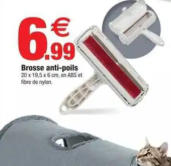 Bazarland Brosse anti-poils offre