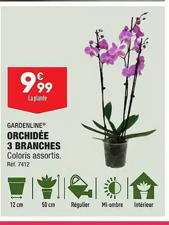 ALDI Orchidée 3 branches gardenline offre