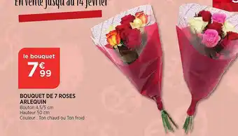 Bouquet de 7 roses arlequin
