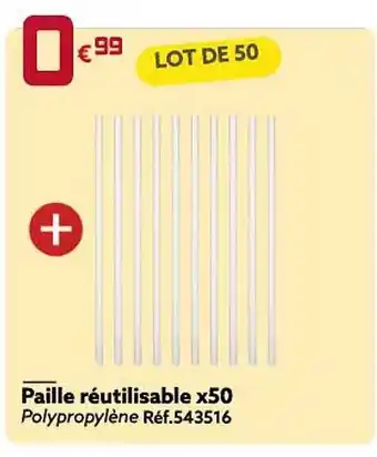 Paille réutilisable x50