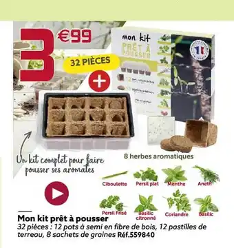 Gifi Mon kit prêt à pousser offre
