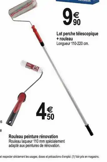 Tridôme Lot perche télescopique + rouleau, rouleau peinture rénovation offre