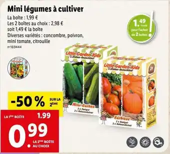 Lidl Graines offre