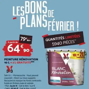 Peinture Rénovation 10 L