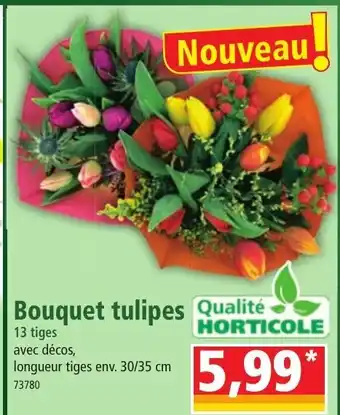 Bouquet Tulipes