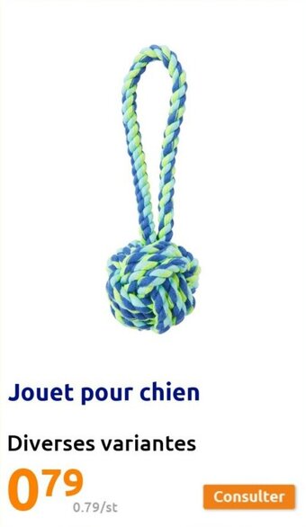 Action Jouet pour chien offre