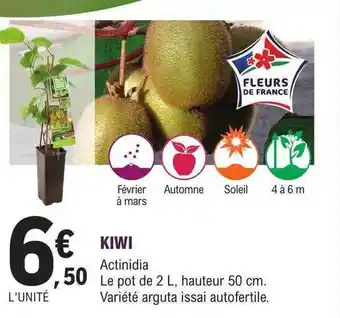 E.Leclerc Jardi Kiwi offre