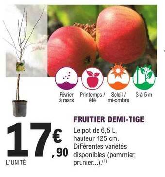 E.Leclerc Jardi Fruitier demi-tige offre