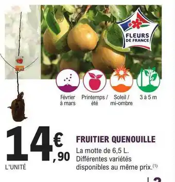 E.Leclerc Jardi Fruitier quenouille offre