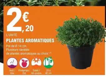 E.Leclerc Jardi Plantes aromatiques offre