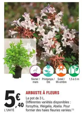 E.Leclerc Jardi Arbuste à fleurs offre