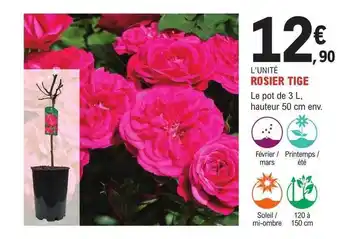 E.Leclerc Jardi Rosier tige offre