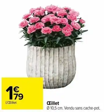 Carrefour Oeillet offre