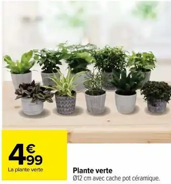 Carrefour Plante verte offre