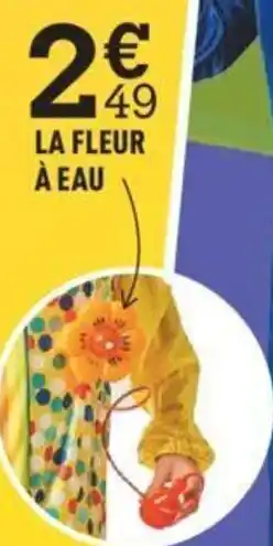 Centrakor La Fleur a Eau offre