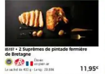 Thiriet 2 suprênes de pintade fermière de bretagne offre